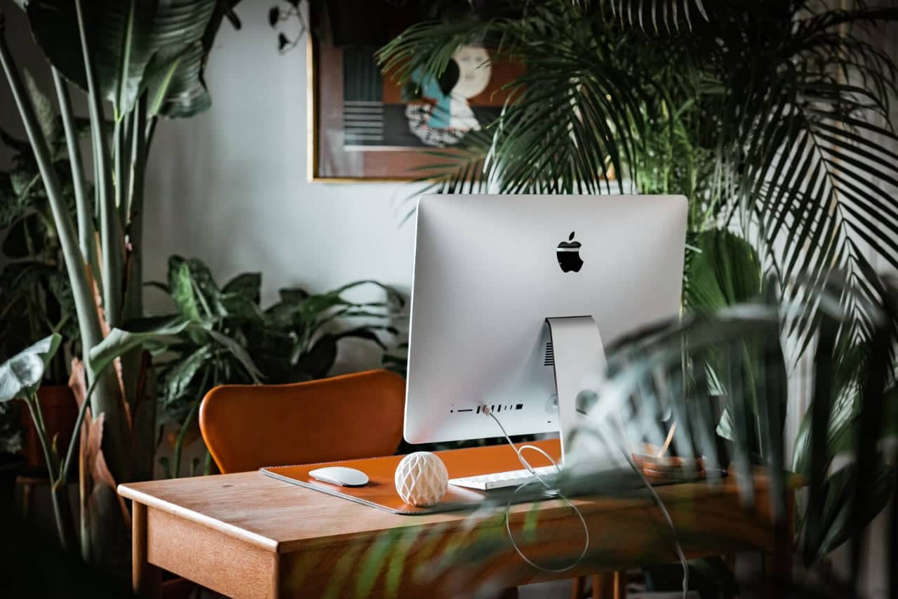 An iMac on a wooden desk surrounded by plants