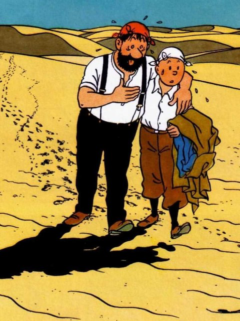 Captain Haddock and Tintin illustration used for the 404 Blistering Barnacles page.